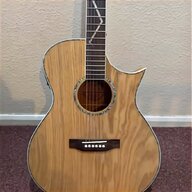 unique acoustic guitars for sale