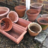 large terracotta plant pots for sale