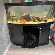 juwel 240 fish tank for sale