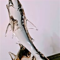 taxidermy shark for sale