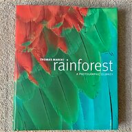 rainforest trees for sale