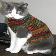 cat jumper knitting pattern for sale