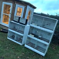 show cages canary for sale
