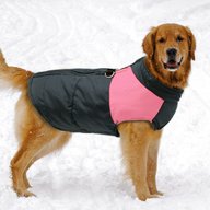 extra large dog coat for sale