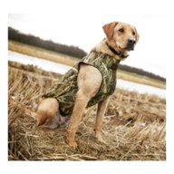 hunting dog vest for sale