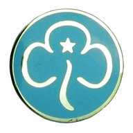 girl guide promise badge for sale