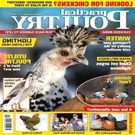 practical poultry magazine for sale