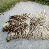 raw sheep fleece for sale