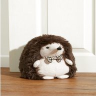 next hedgehog for sale