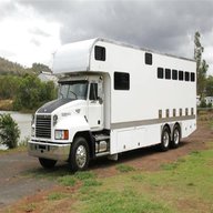 horse truck for sale