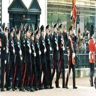 duke wellingtons regiment for sale