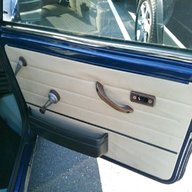 rover mini door for sale