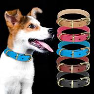 jack russell leather dog collar for sale for sale