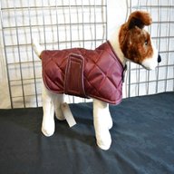 dog coats joblots for sale