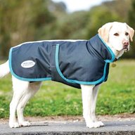 weatherbeeta dog coat for sale