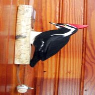 woodpecker door knocker for sale