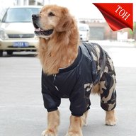 medium sized dog coats for sale