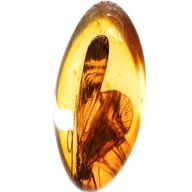 amber inclusions for sale