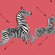 zebra wallpaper for sale