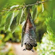 hanging bat for sale