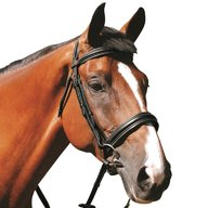 mark todd bridle for sale