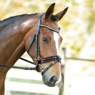patent leather bridle for sale