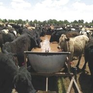 livestock trough for sale