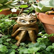 garden goblin for sale