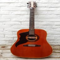 eko ranger guitar for sale