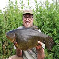 tench fishing for sale