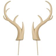 deer antlers for sale
