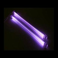 cold cathode lighting for sale