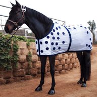 magnetic therapy horse for sale