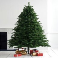 next christmas tree for sale