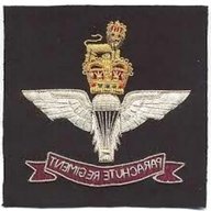 parachute regiment badges for sale
