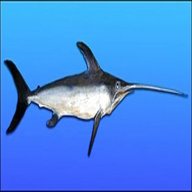 swordfish for sale