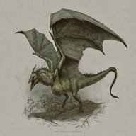 wyvern for sale
