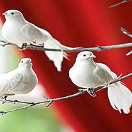 christmas doves for sale