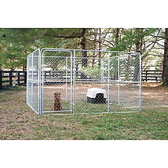 Dog Kennels for sale in UK | 65 second 