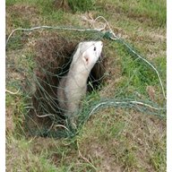 ferret nets for sale