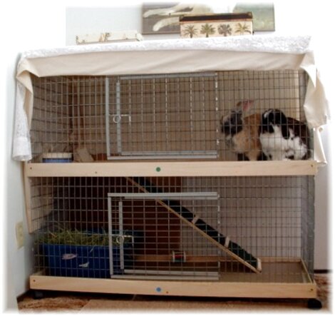 Large Indoor Rabbit Cages for sale in UK | 52 used Large Indoor Rabbit ...