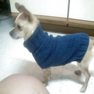 dog knitting patterns chihuahua for sale
