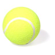 tennis balls for sale