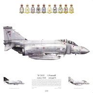 squadron prints for sale