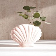 shell vase for sale