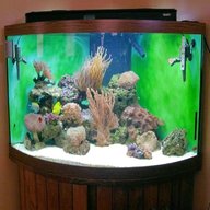 marine fish tank setup for sale