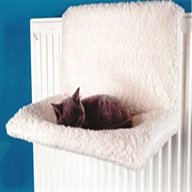 cat radiator bed for sale