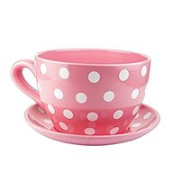 giant cup and saucer for sale