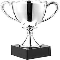 silver trophy cup for sale