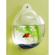 wall fish tank for sale